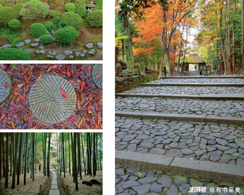 凝固在自然中的诗篇 日本建筑巡礼